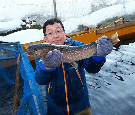 角掛養魚場|岩魚の稚魚を見てきました~！ 